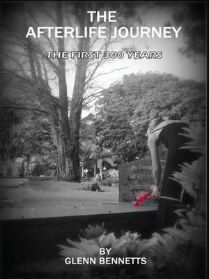 cover image of The Afterlife Journey